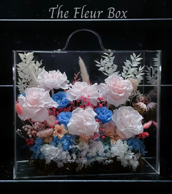 Virgo Box
