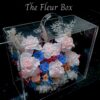 Virgo Box - Image 2