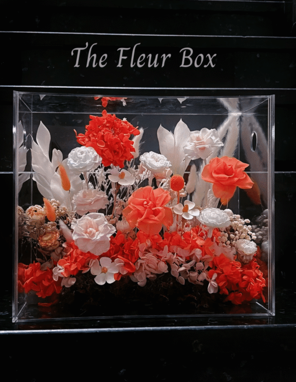 Lion Box